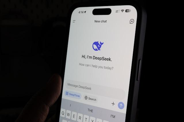 Deepseek's starting screen