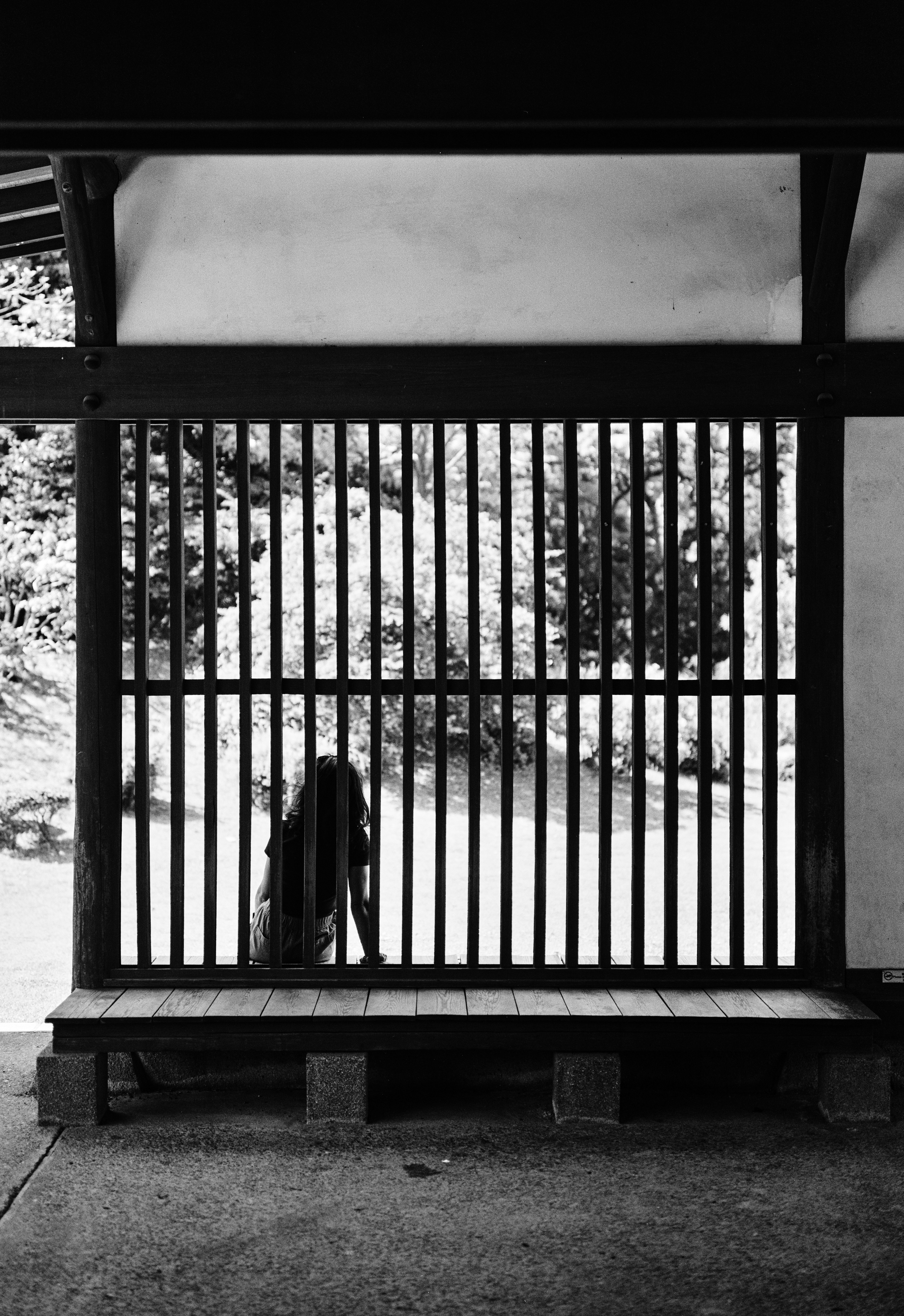 A black and white photograph shows a woman in front of a trellis.