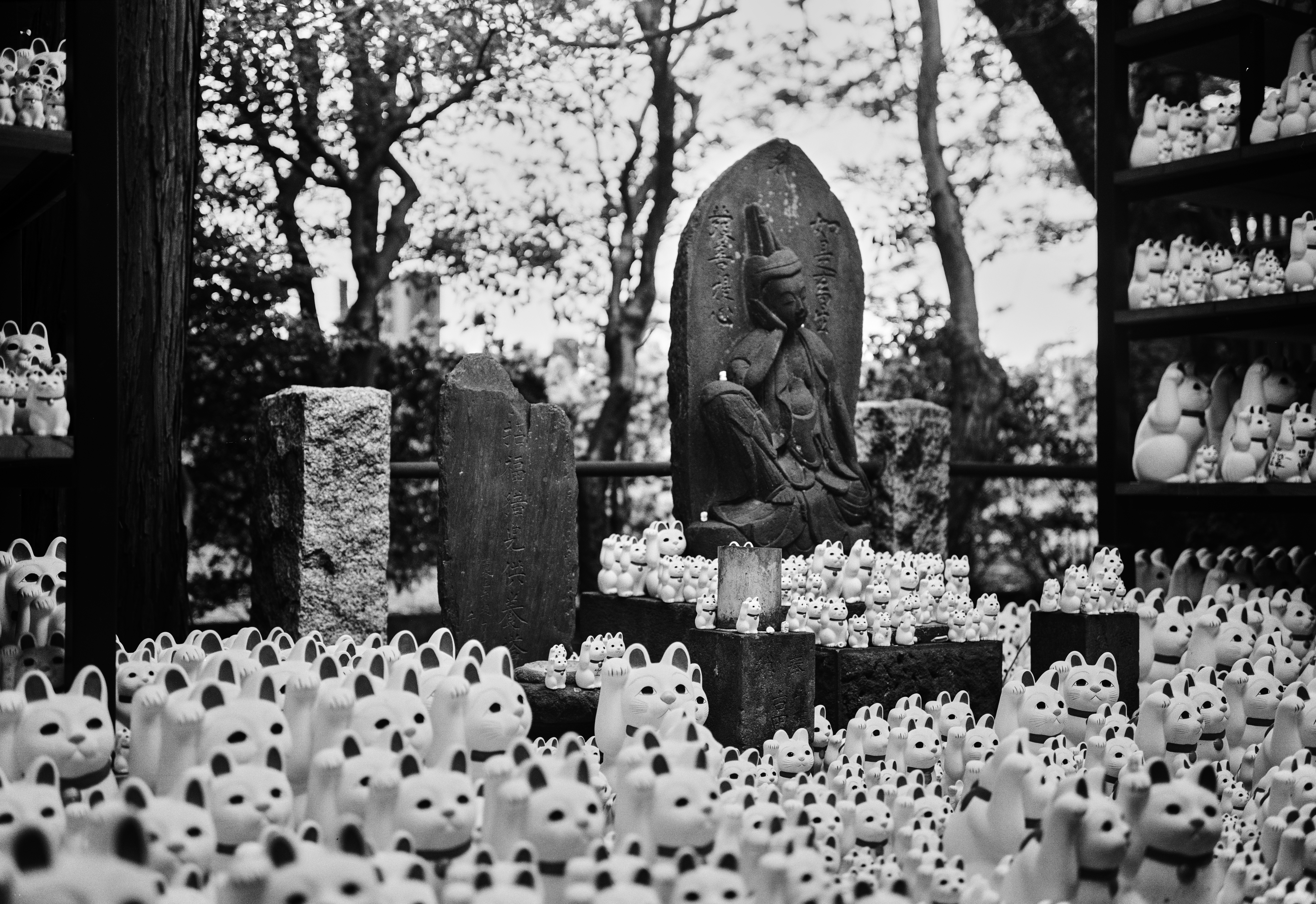 A shrine is decorated with hundreds of ceramic lucky cats.