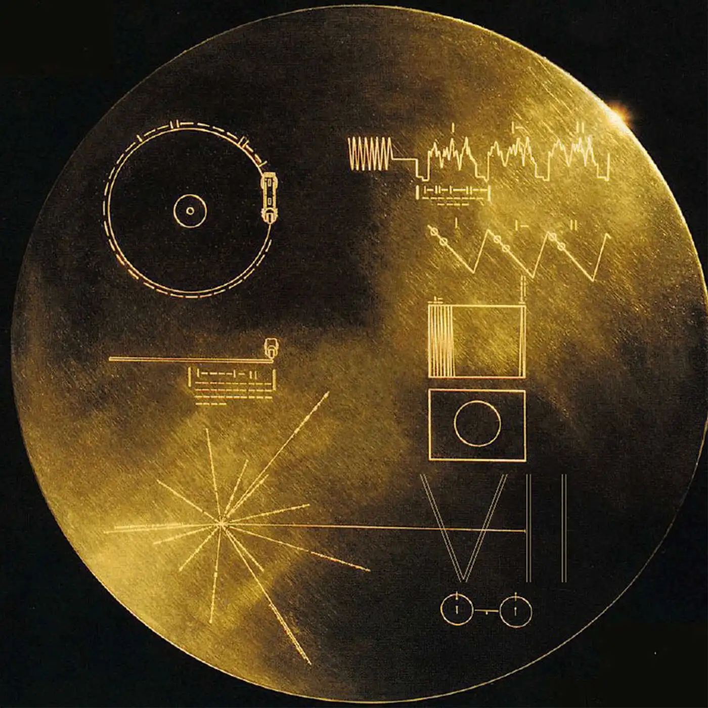 Album artwork for VII by Melee